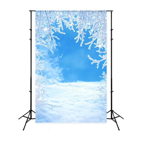 Winter Sky Backdrop Frosty Branches Blue Sky Winter Snow Backdrop LXX58-217
