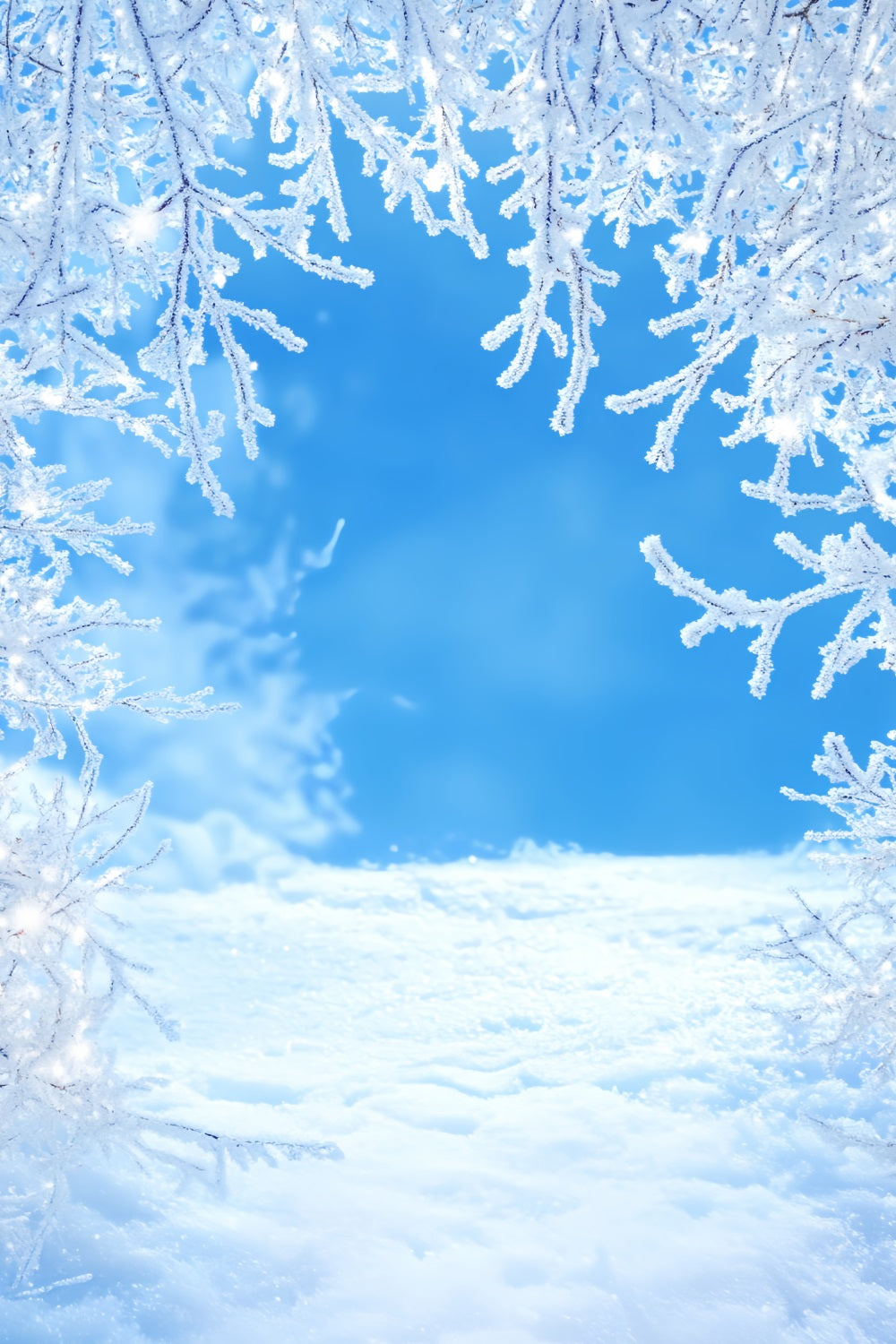 Winter Sky Backdrop Frosty Branches Blue Sky Winter Snow Backdrop LXX58-217