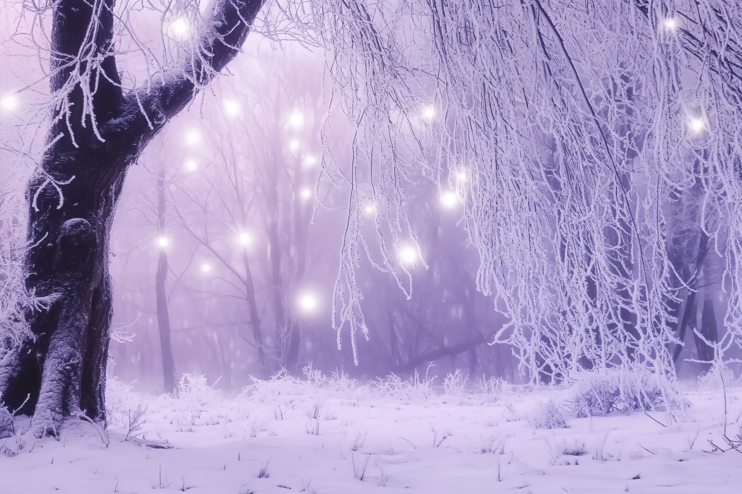 Winter Wonderland Backdrop Enchanted Forest Icy Lights Winter Backdrops LXX58-226