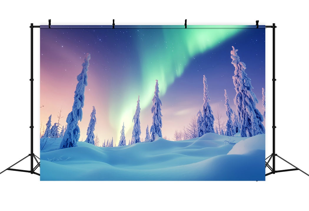 Winter Wonderland Backdrop Aurora Sky Frosted Woods Winter Photo Backdrop LXX58-231