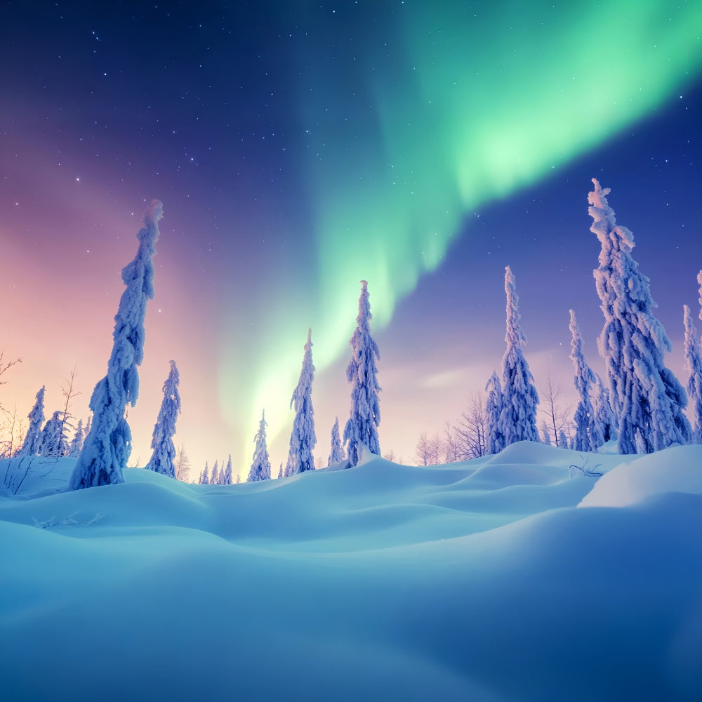 Winter Wonderland Backdrop Aurora Sky Frosted Woods Winter Photo Backdrop LXX58-231