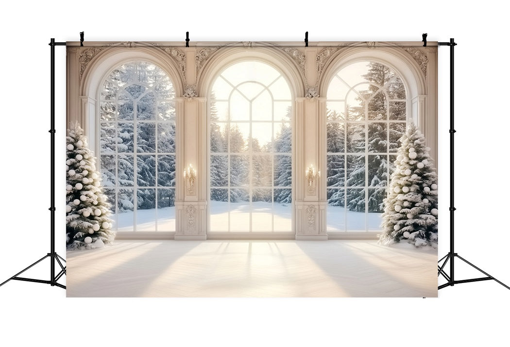 Winter Window Backdrop Snowy Winter Forest Trees Winter Photo Backdrop LXX58-235