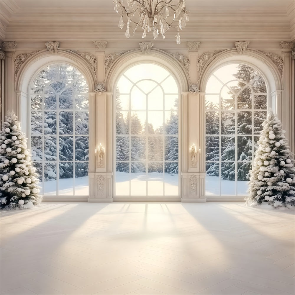 Winter Window Backdrop Snowy Winter Forest Trees Winter Photo Backdrop LXX58-235