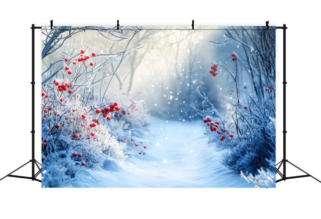 Forest Backdrop Frosted Path Red Winter Berries Winter Backdrop LXX58-238