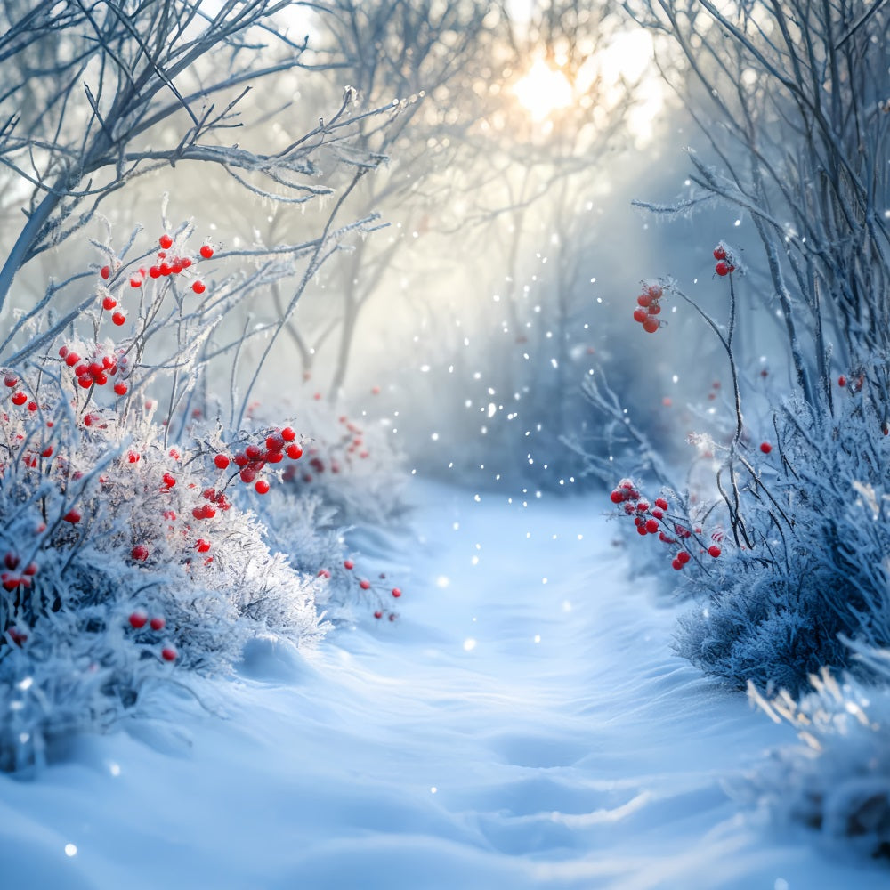 Forest Backdrop Frosted Path Red Winter Berries Winter Backdrop LXX58-238
