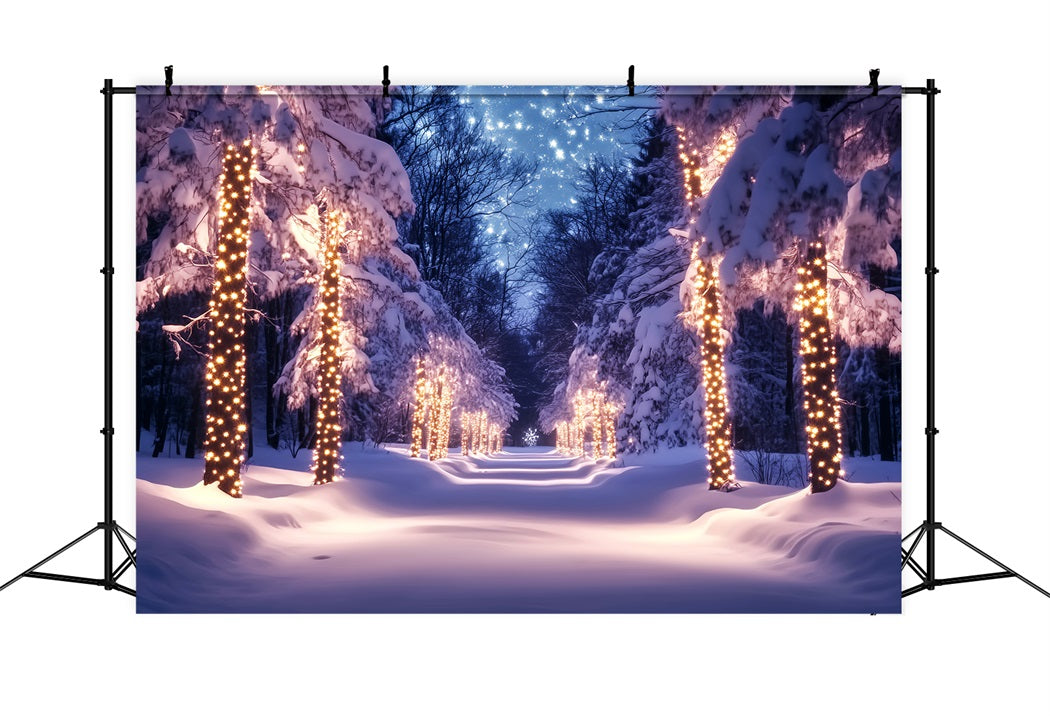 Forest Backdrop Golden Lights Snowy Pathway Winter Wonderland Backdrop LXX58-241