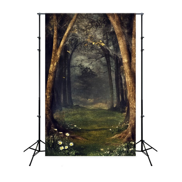 Spooky Forest Mystic Web Enchanted Forest Dark Forest Backdrop LXX58-270