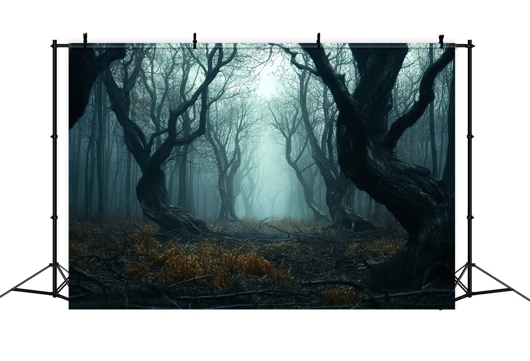 Spooky Forest Twisted Dark Mist Trees Forest Photography Backdrop LXX58-273