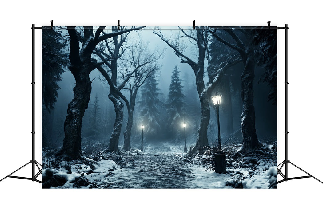 Winter Snowy Forest Snowy Path Lantern Glow Forest Backdrop LXX58-274