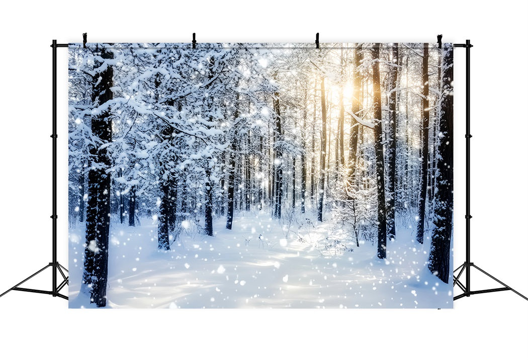 Snowy Forest Sparkling Sunrise Winter Woods Woodland Forest Backdrop LXX58-276