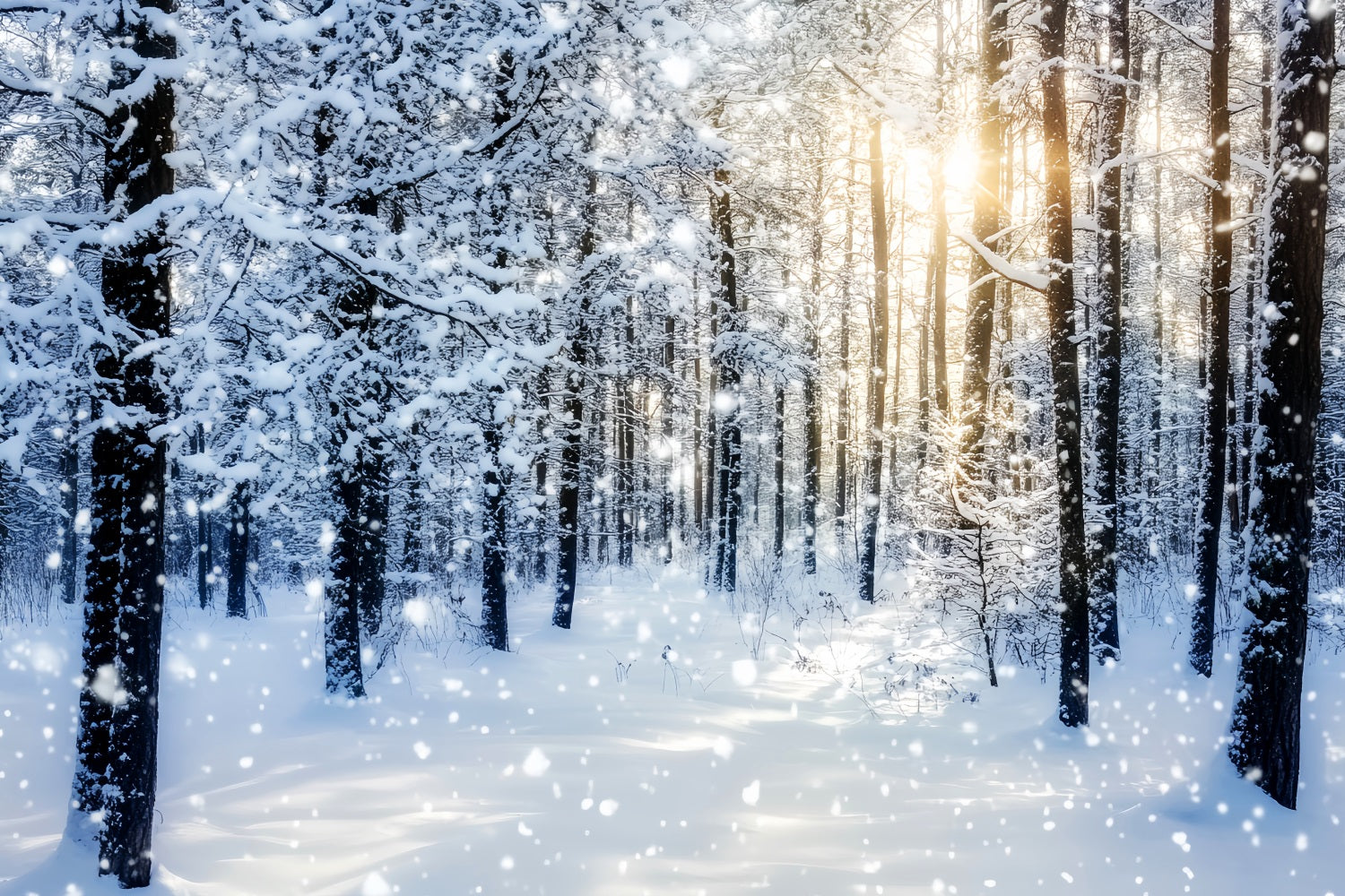 Snowy Forest Sparkling Sunrise Winter Woods Woodland Forest Backdrop LXX58-276