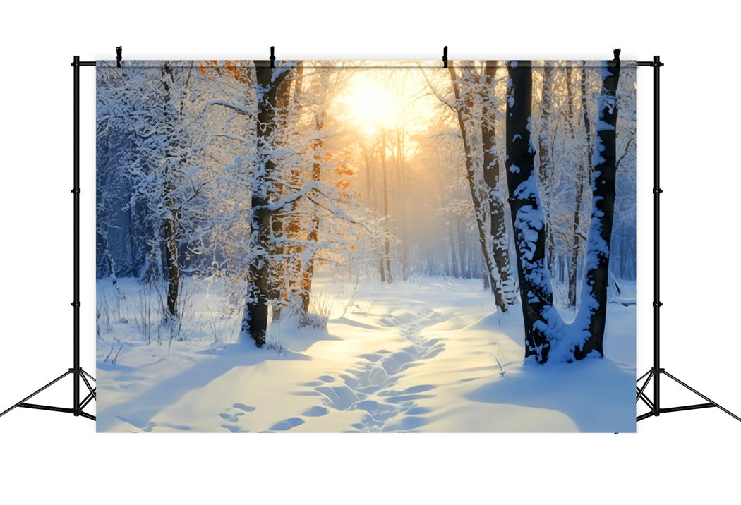 Winter Snowy Forest Golden Sunrise Snow Trail Snow Forest Backdrop LXX58-278