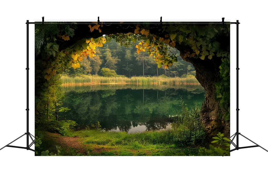 Rainforest Lakeside Cave Ivy Frame Forest Scene Backdrop LXX58-294