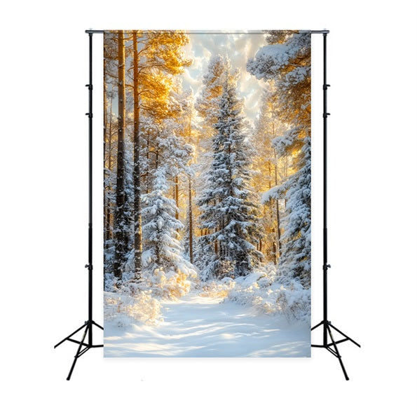 Christmas Pine Forest Frosty Trees Golden Glow Forest Photo Backdrop LXX58-309