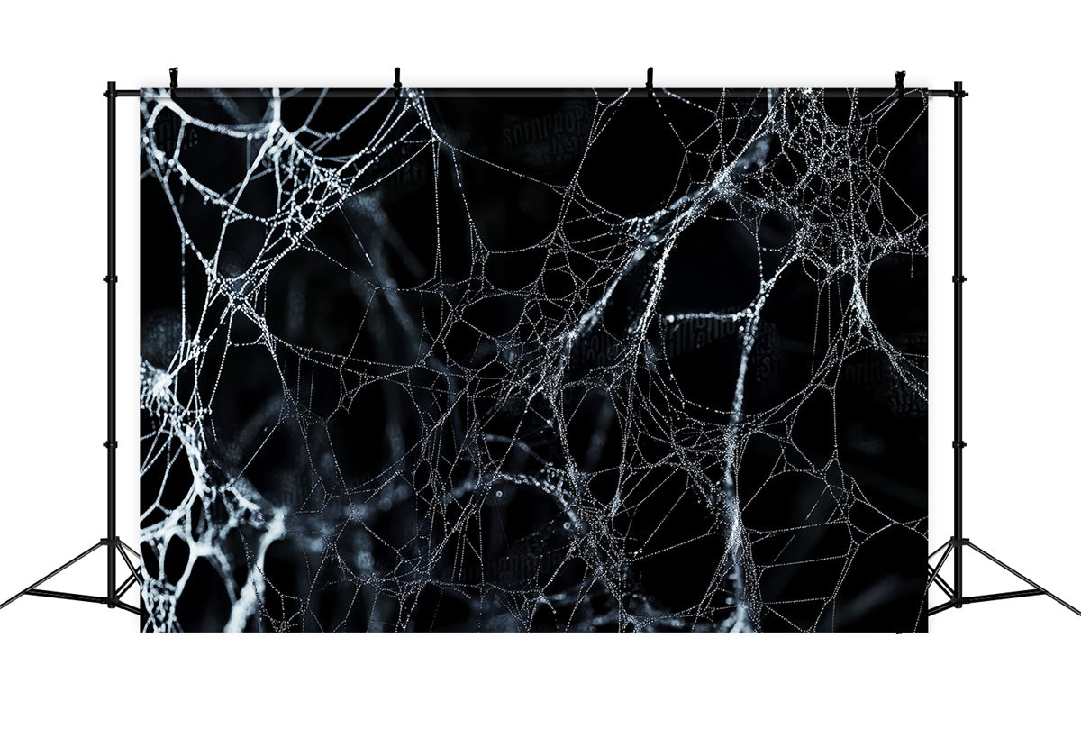 Halloween Backdrop Midnight Spider Web Net Backdrop LXX58-9