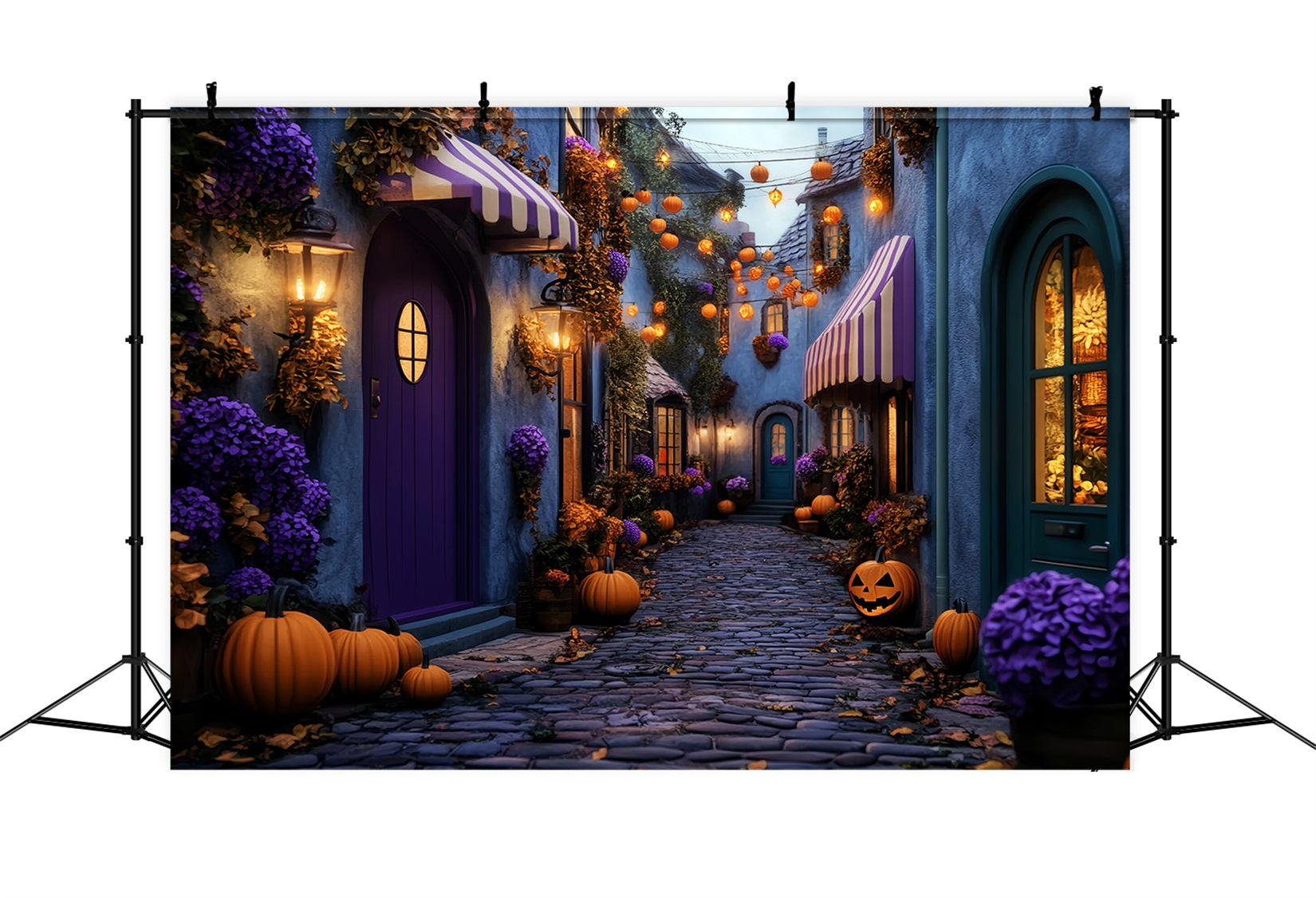Color Backdrop Haunted Village Pumpkin Lane Halloween Photography Backdrop LXX59-101
