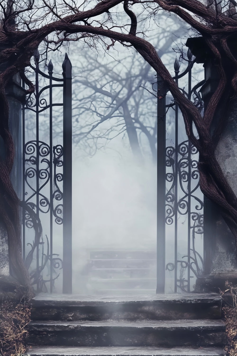 Haunted Forest Backdrop Foggy Cemetery Iron Gate Halloween Picture Backdrop LXX59-125