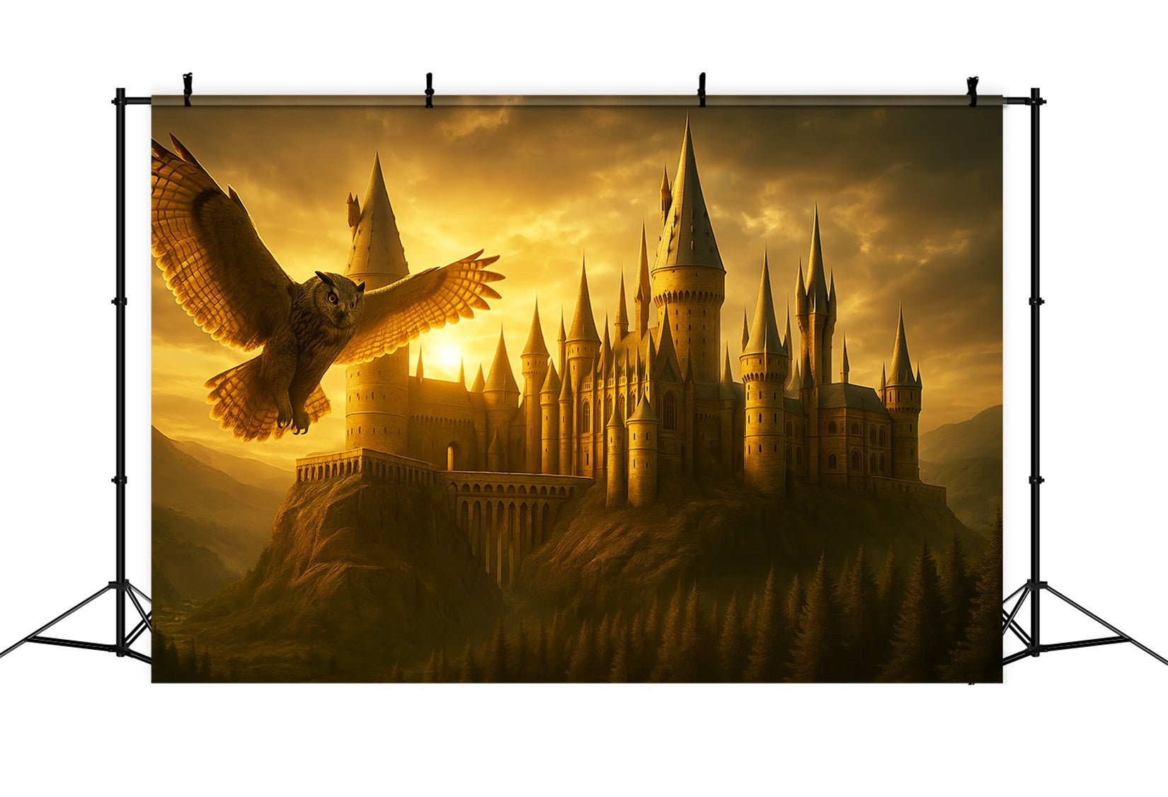 Back To School Backdrop Golden Castle Flying Owl School Picture Backdrop LXX59-213