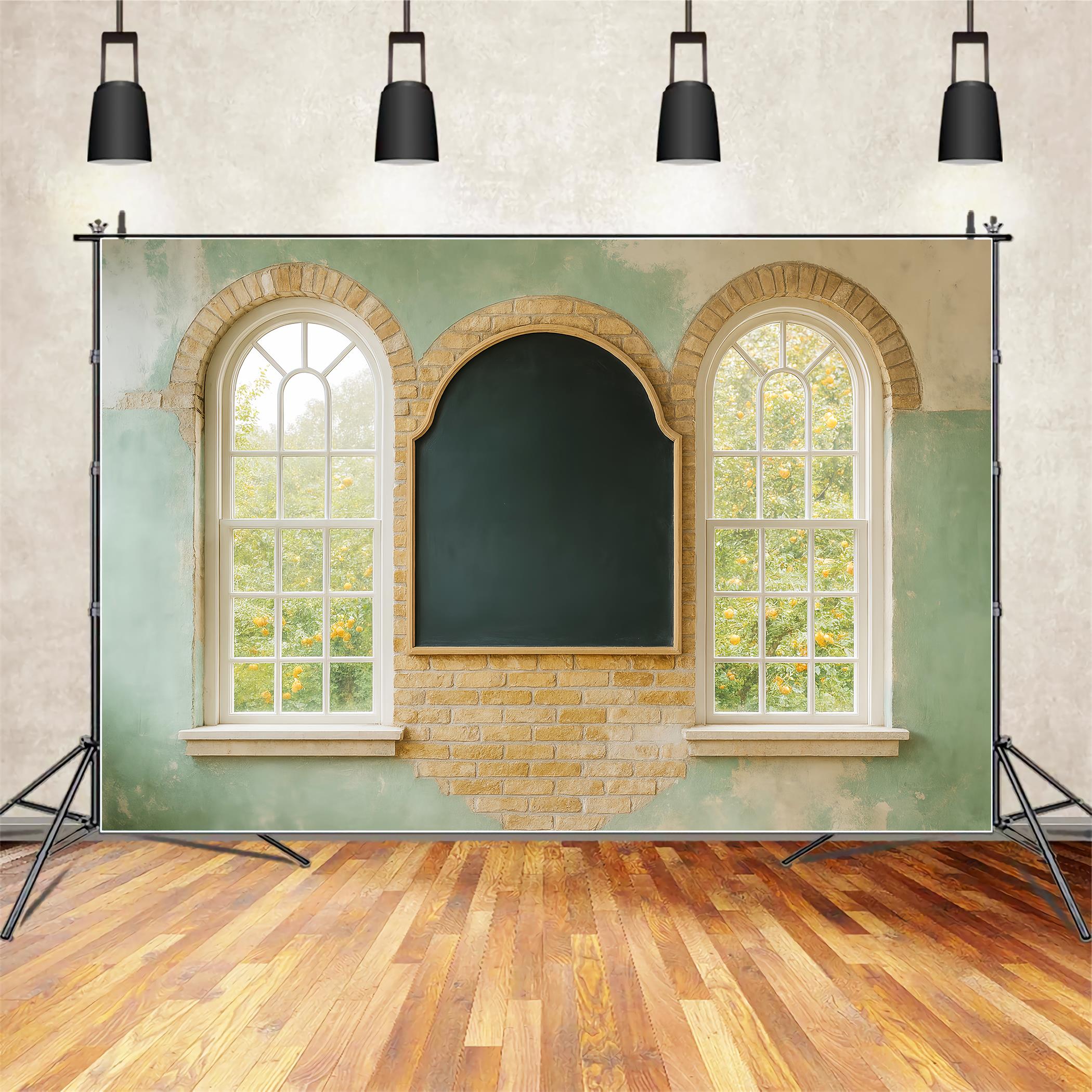 Back To School Backdrops Chalkboard Arched Window Wall School Classroom Backdrop LXX59-229