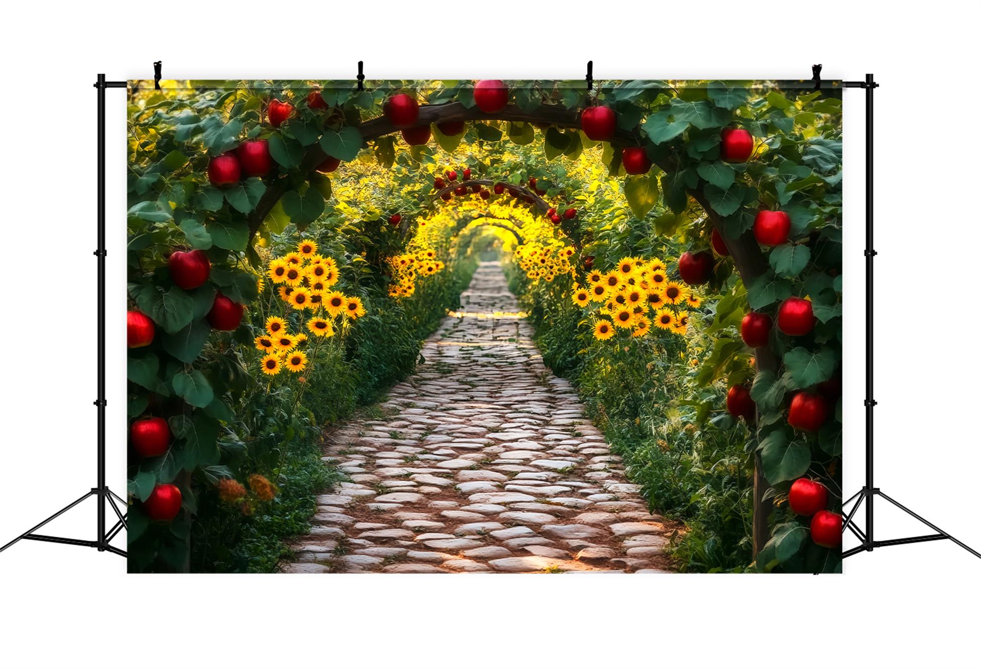 Sunflower Backdrop Apple Orchard Sunflower Tunnel Fall Photo Backdrop LXX59-285