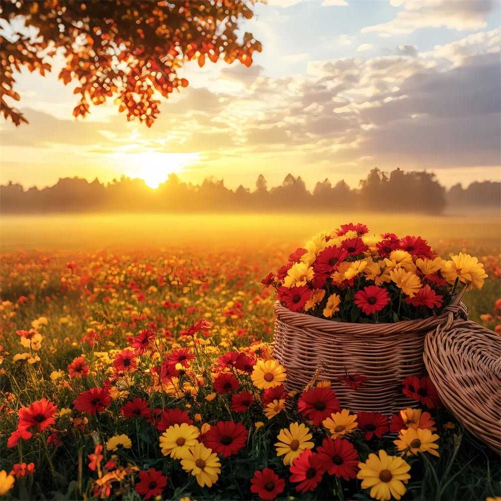 Fall Outdoor Backdrop Sunset Over Autumn Flower Field Fall Backdrops LXX59-292