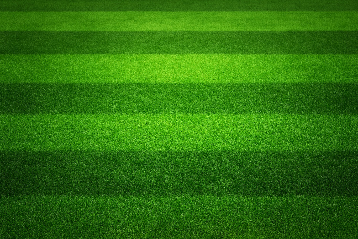 Sports Backdrop Striped Green Turf Field Football Field Backdrop LXX59-323