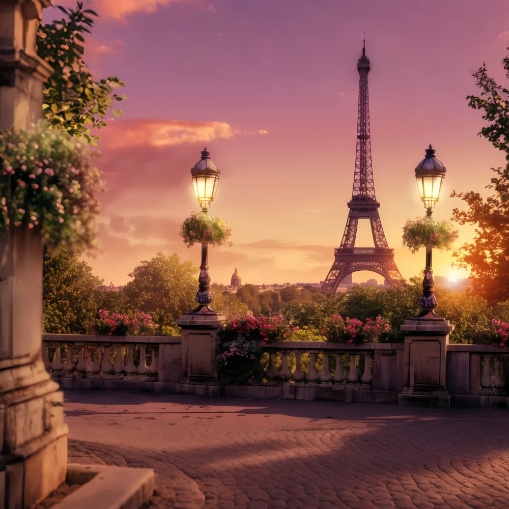 Paris Street Backdrops Eiffel Tower Sunset Balcony Paris Backdrop Ideas LXX59-40