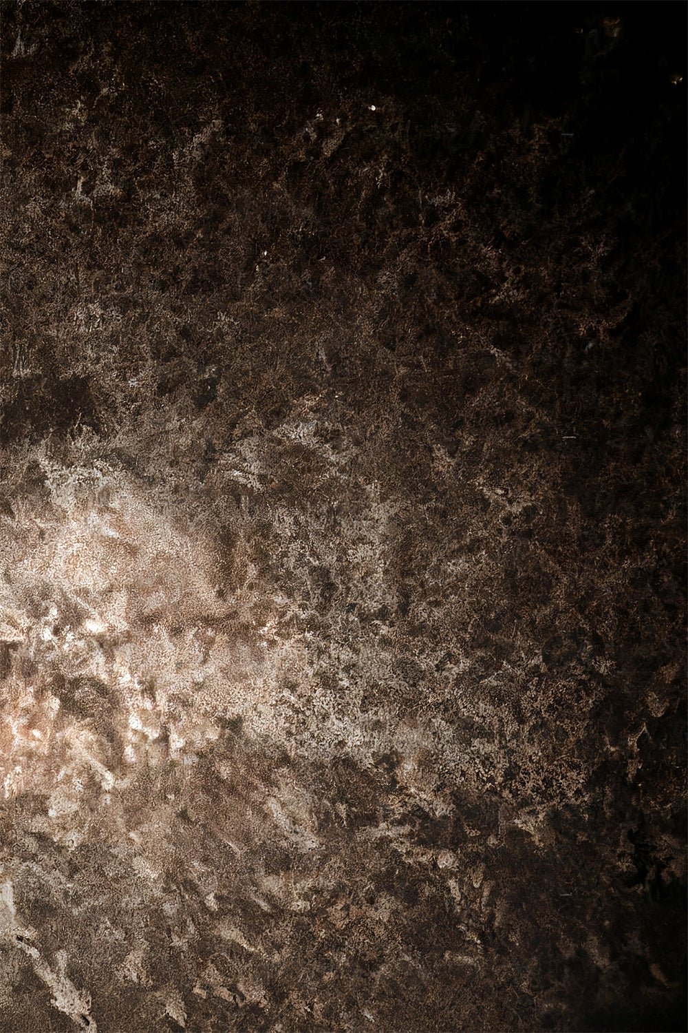 Portrait Studio Backdrop Dark Rustic Metallic Texture Portrait Backdrop LXX59-452