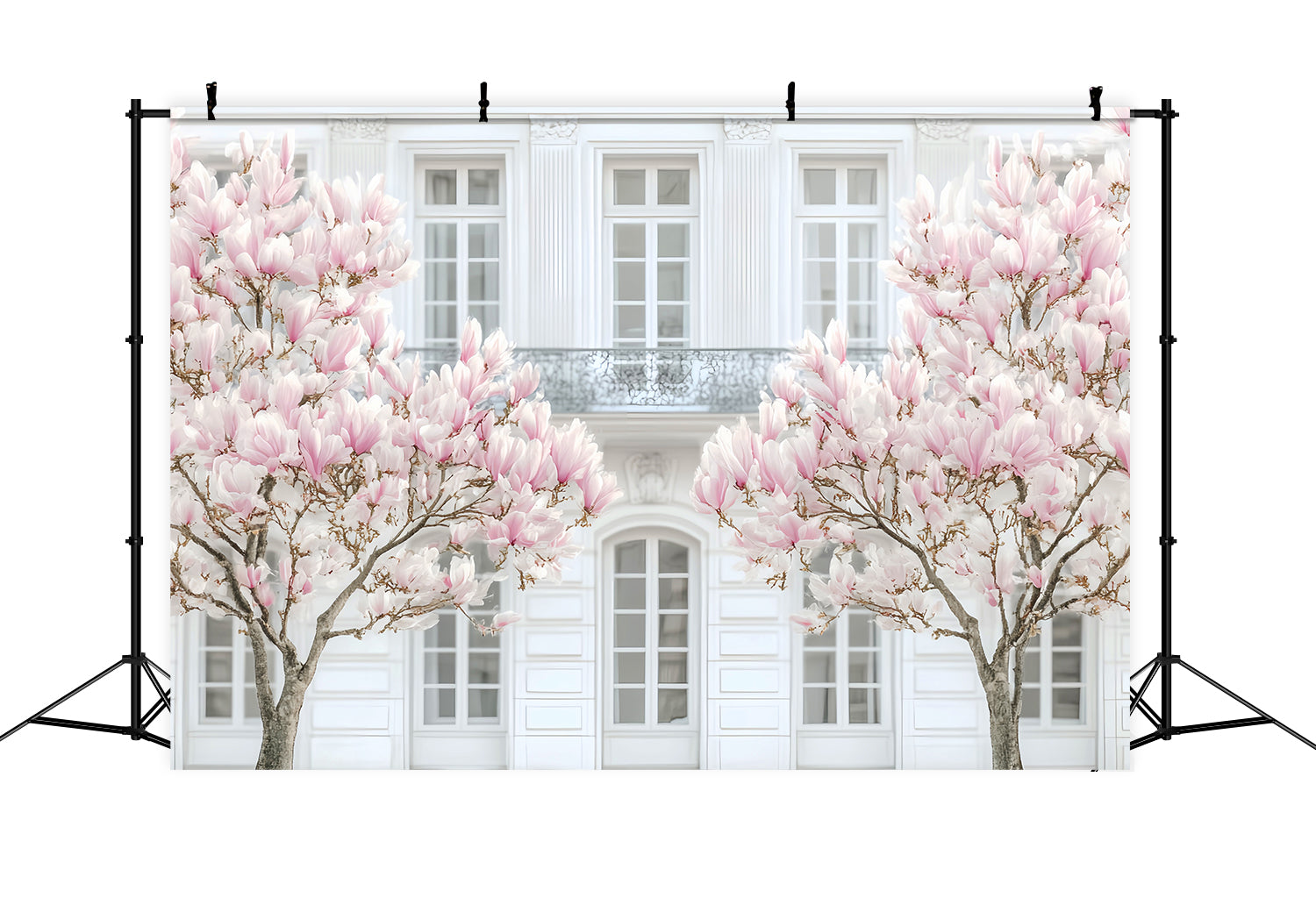 Europe Backdrop Parisian Magnolia White Facade Paris Backdrop LXX59-48