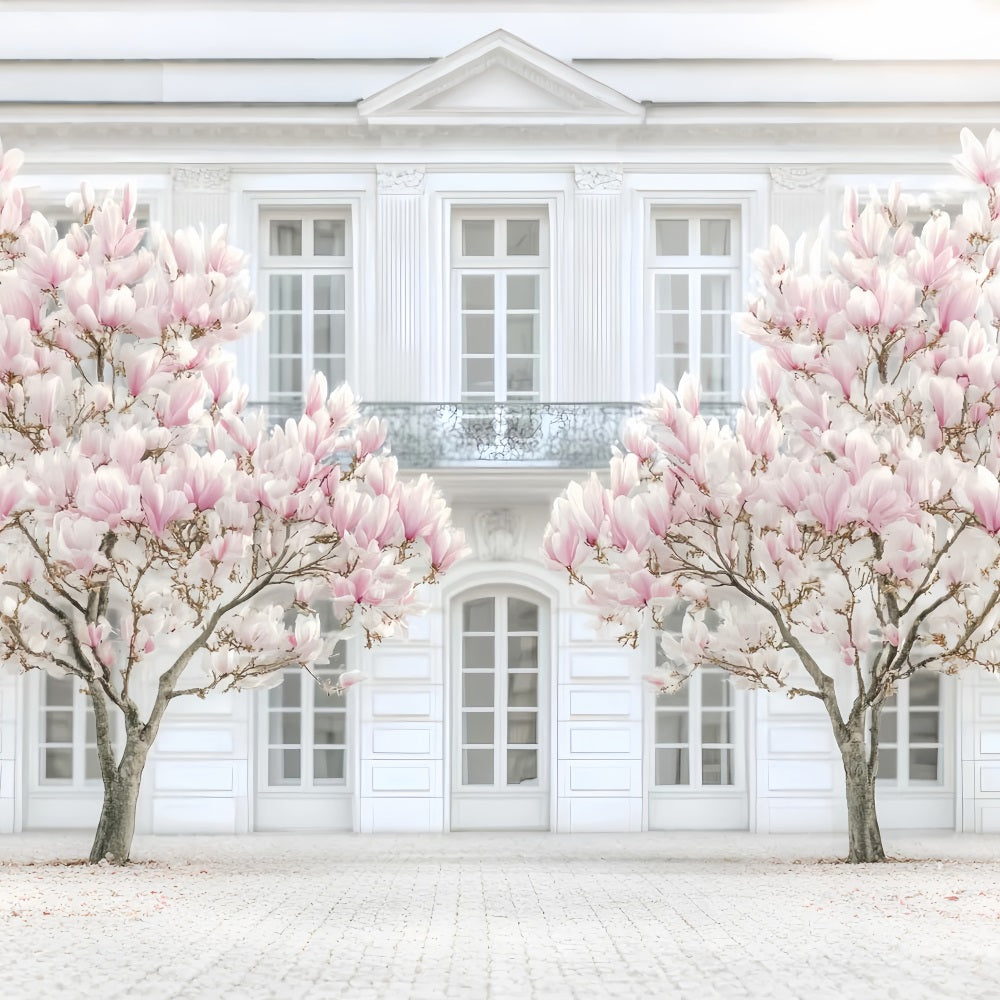 Europe Backdrop Parisian Magnolia White Facade Paris Backdrop LXX59-48