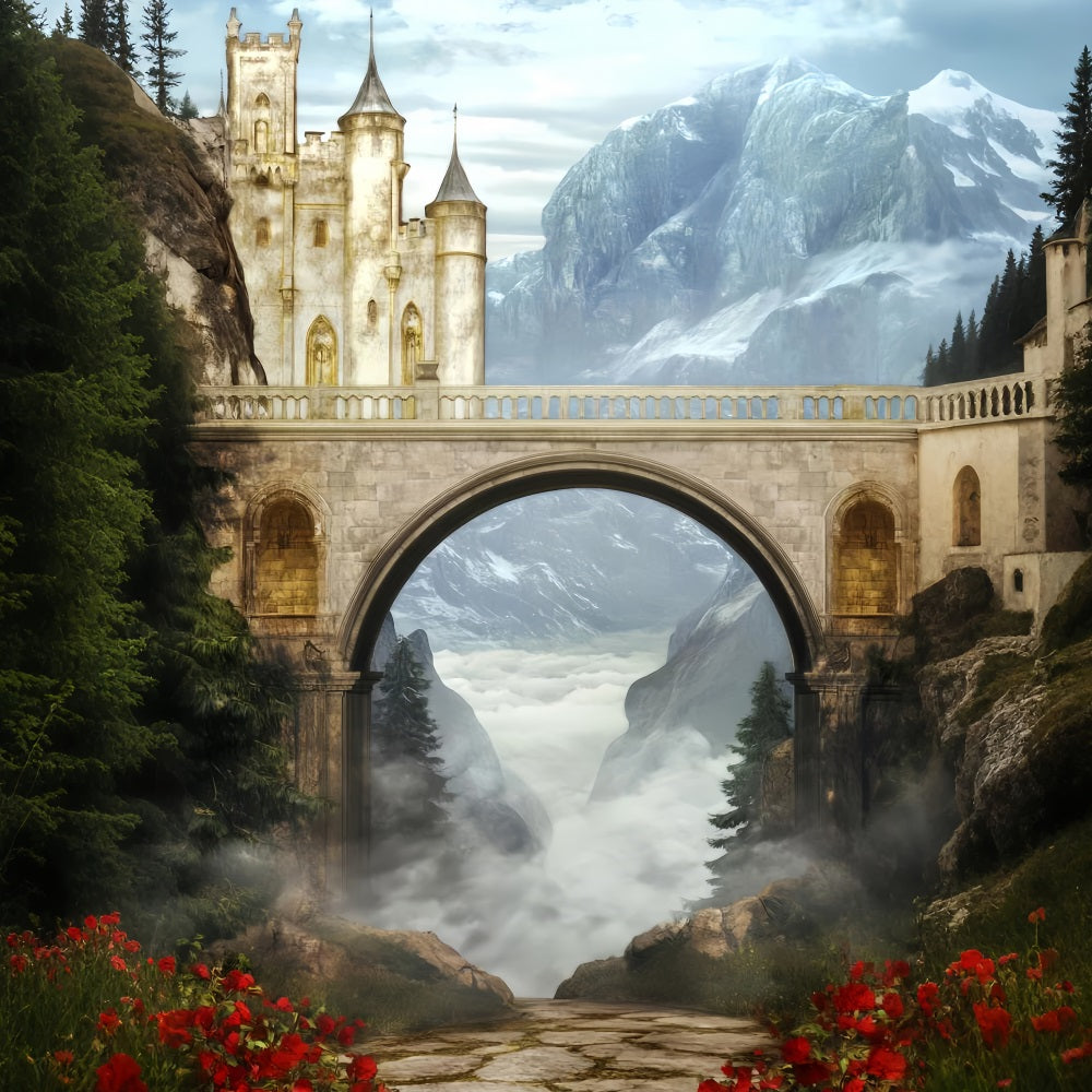 Europe Backdrop Castle Bridge Misty Valley Paris Backdrop LXX59-55