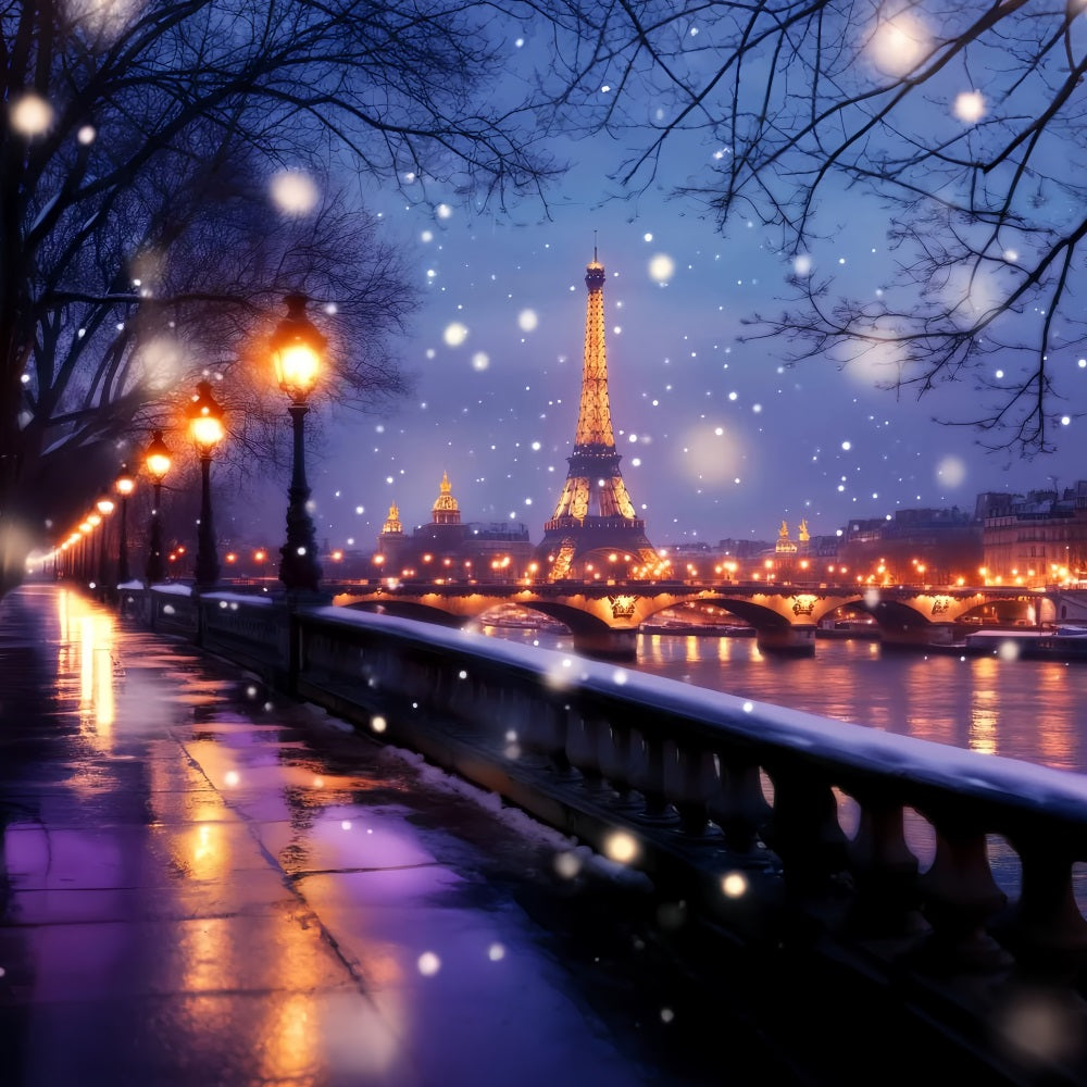 A Night in Paris Backdrop Eiffel Tower Winter Glow Paris Backdrops LXX59-65