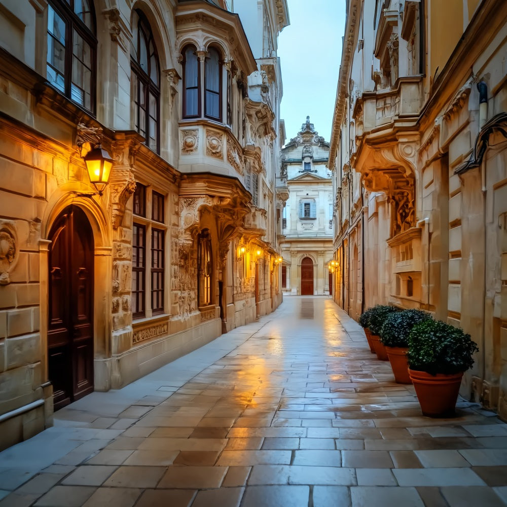 French Town Backdrop Golden Alley Evening Glow European Backdrop LXX59-76