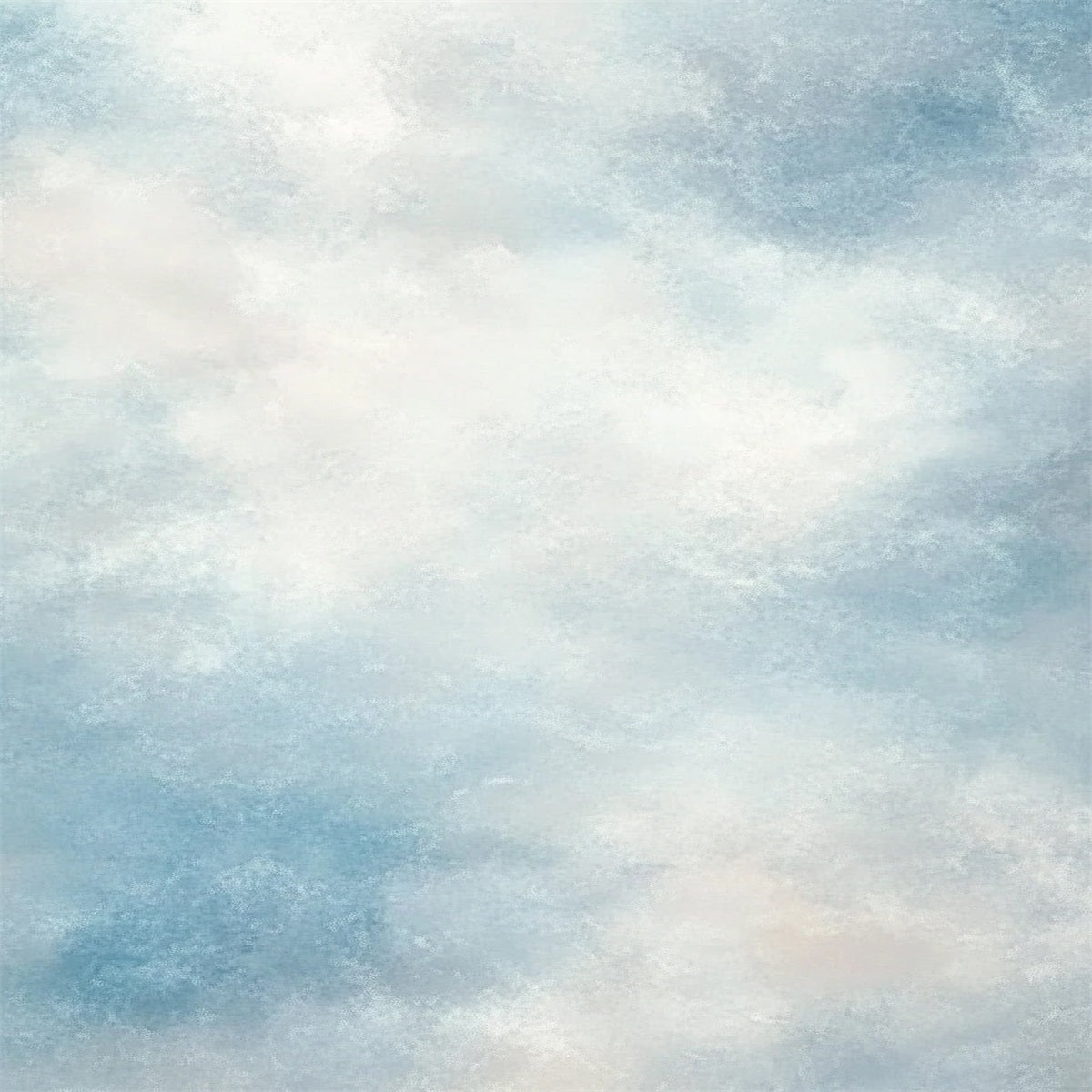 Portrait Photo Backdrops Soft Sky Mist Texture Senior Portrait Backdrops LXX61-18