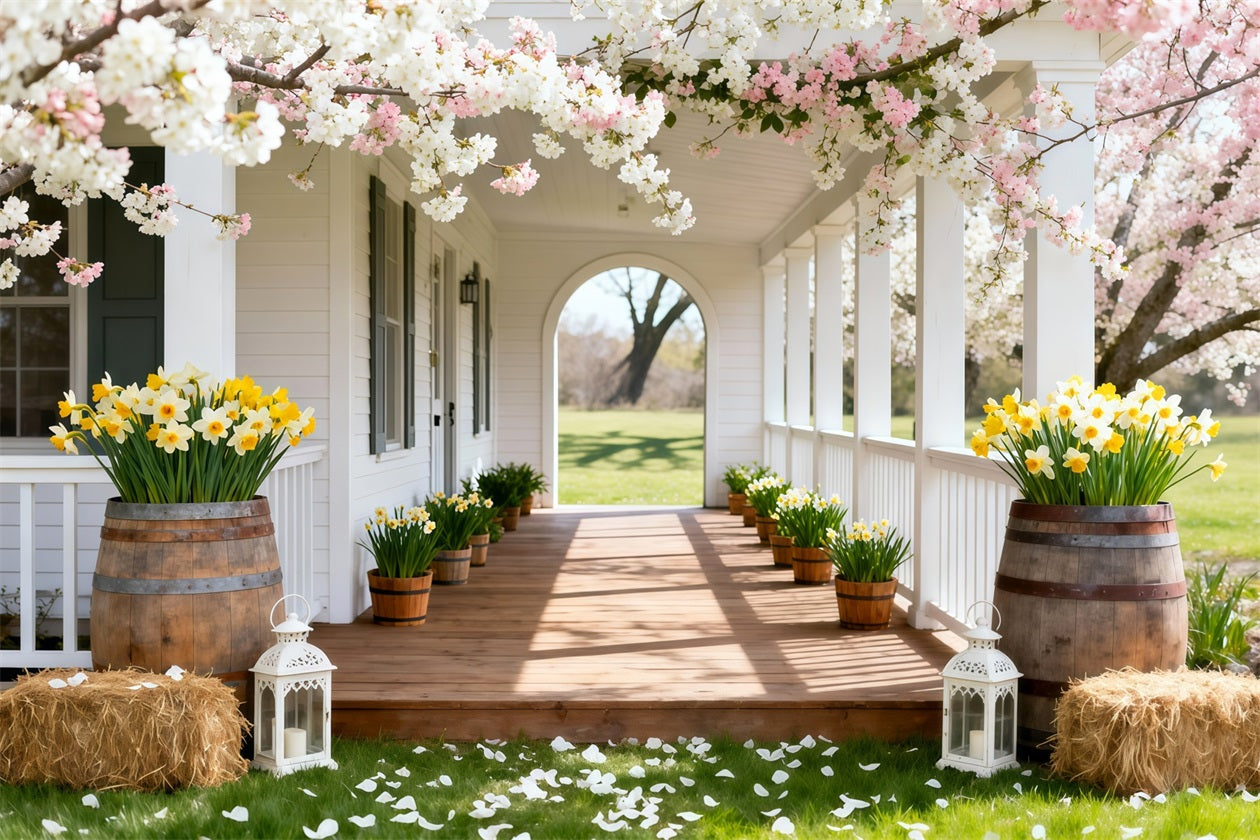 Daffodil Backdrop Cherry Blossom Porch Walkway Floral Backdrop For Photos LXX61-203