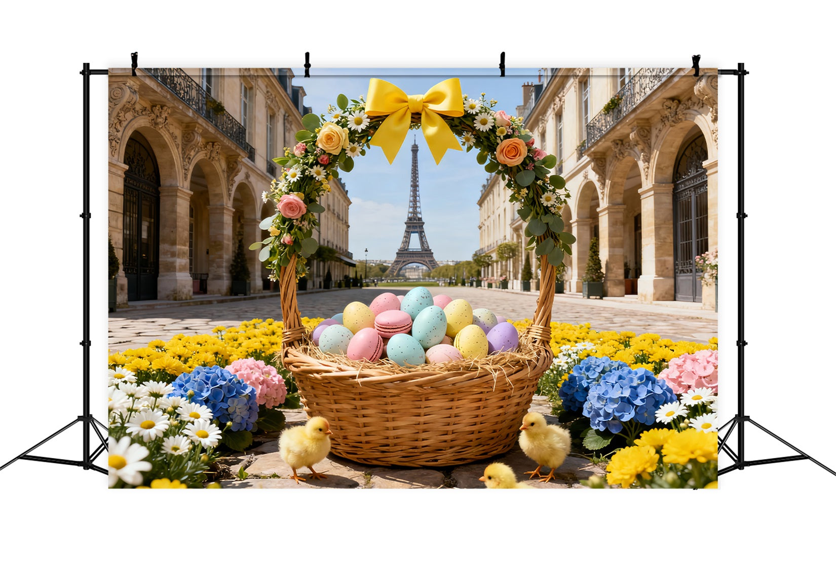 Baby Chick Backdrop Paris Floral Egg Basket Easter Backdrop Ideas LXX61-96