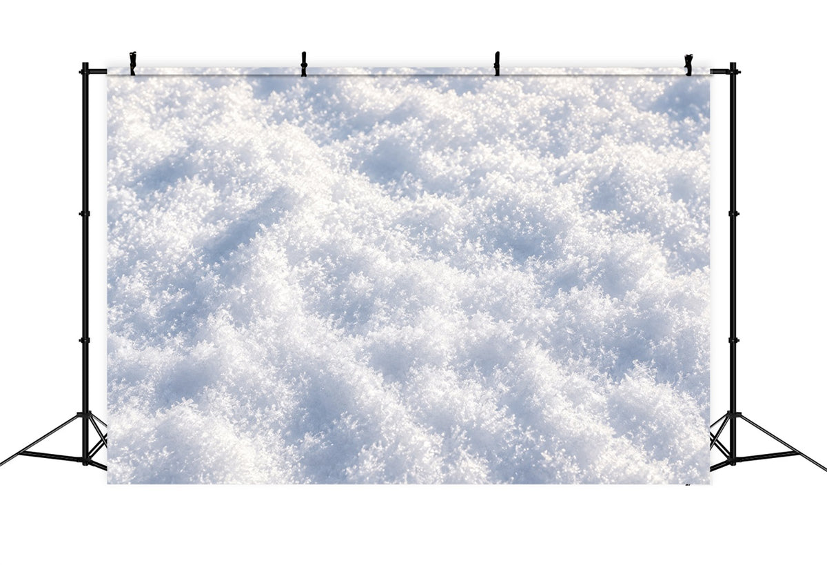 Snowy Christmas Backdrop Sparkling Snow Crystal Texture Christmas Photoshoot Backdrop LXX610-163