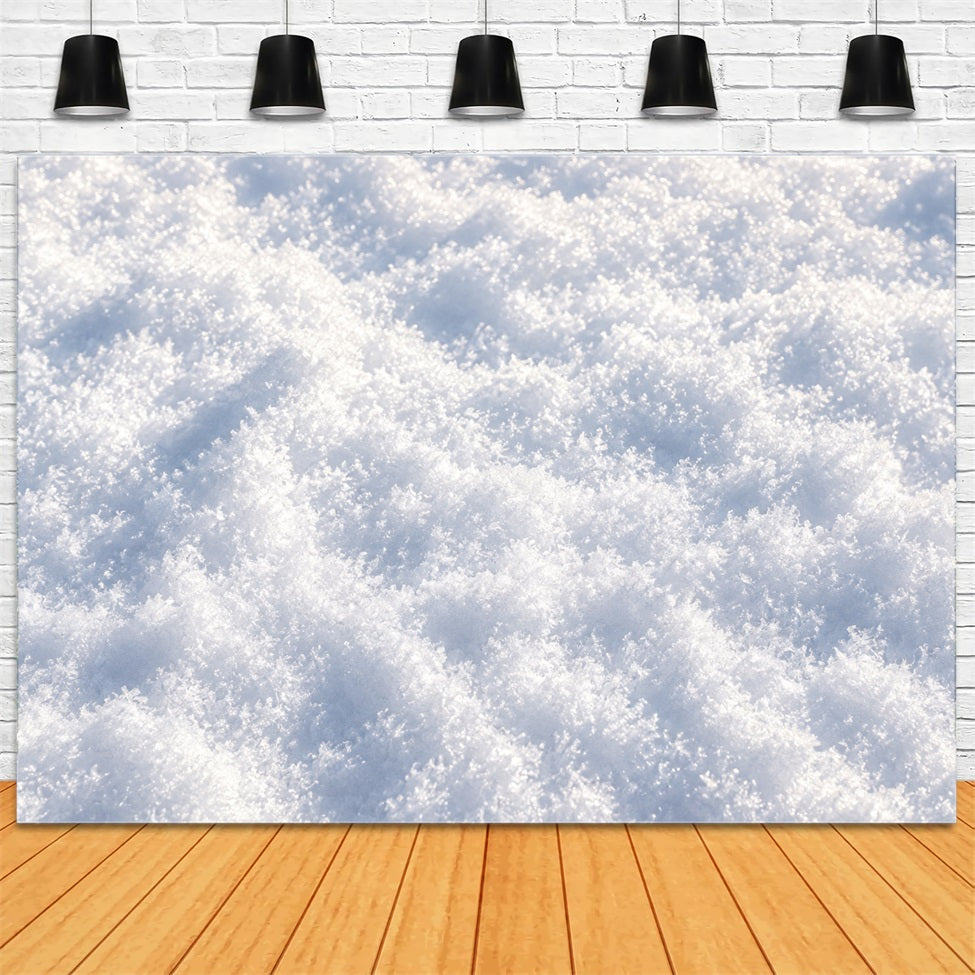 Snowy Christmas Backdrop Sparkling Snow Crystal Texture Christmas Photoshoot Backdrop LXX610-163