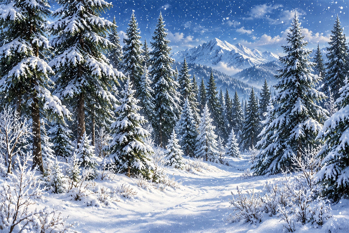 Christmas Tree Photography Backdrop Snowy Lantern Archway Path Christmas Backdrop Photo LXX610-173