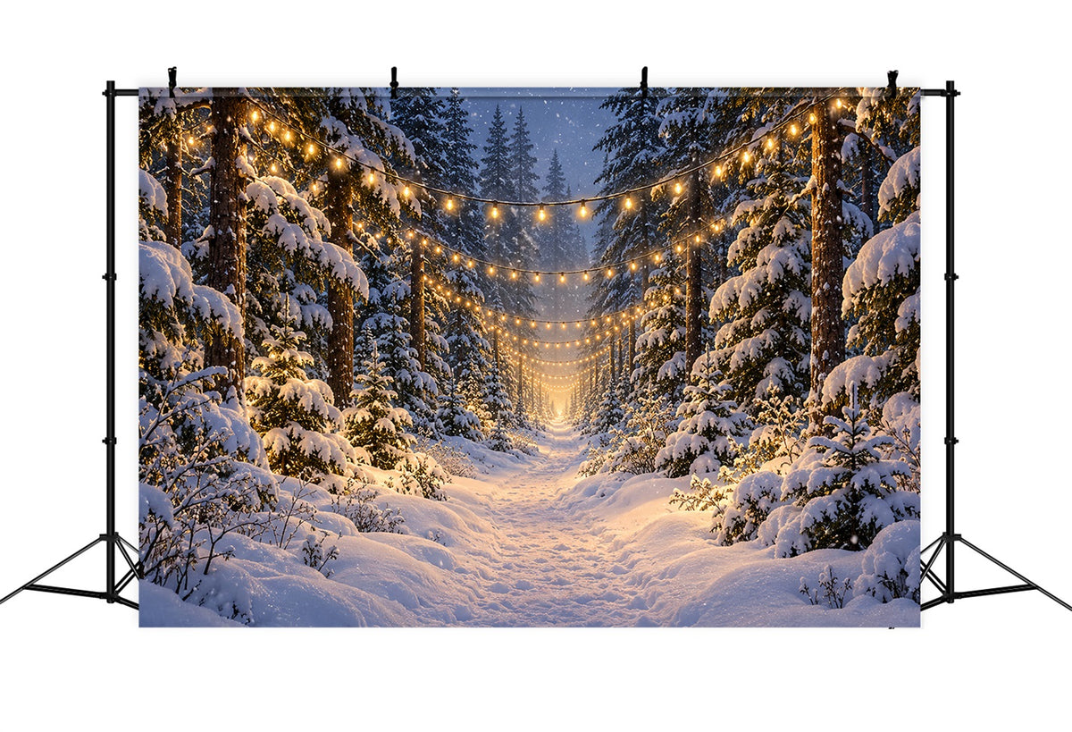 Christmas Tree Forest Backdrop Glowing Snowy Forest Path Christmas Picture Backdrops LXX610-180