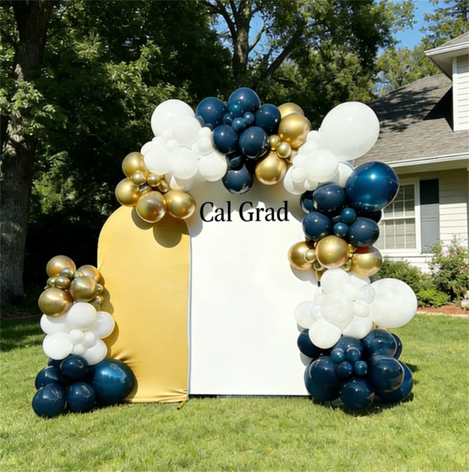 Graduation Party Backdrop Mustard White Dual Cal Grad Custom Graduation Party Backdrop LXX64-8