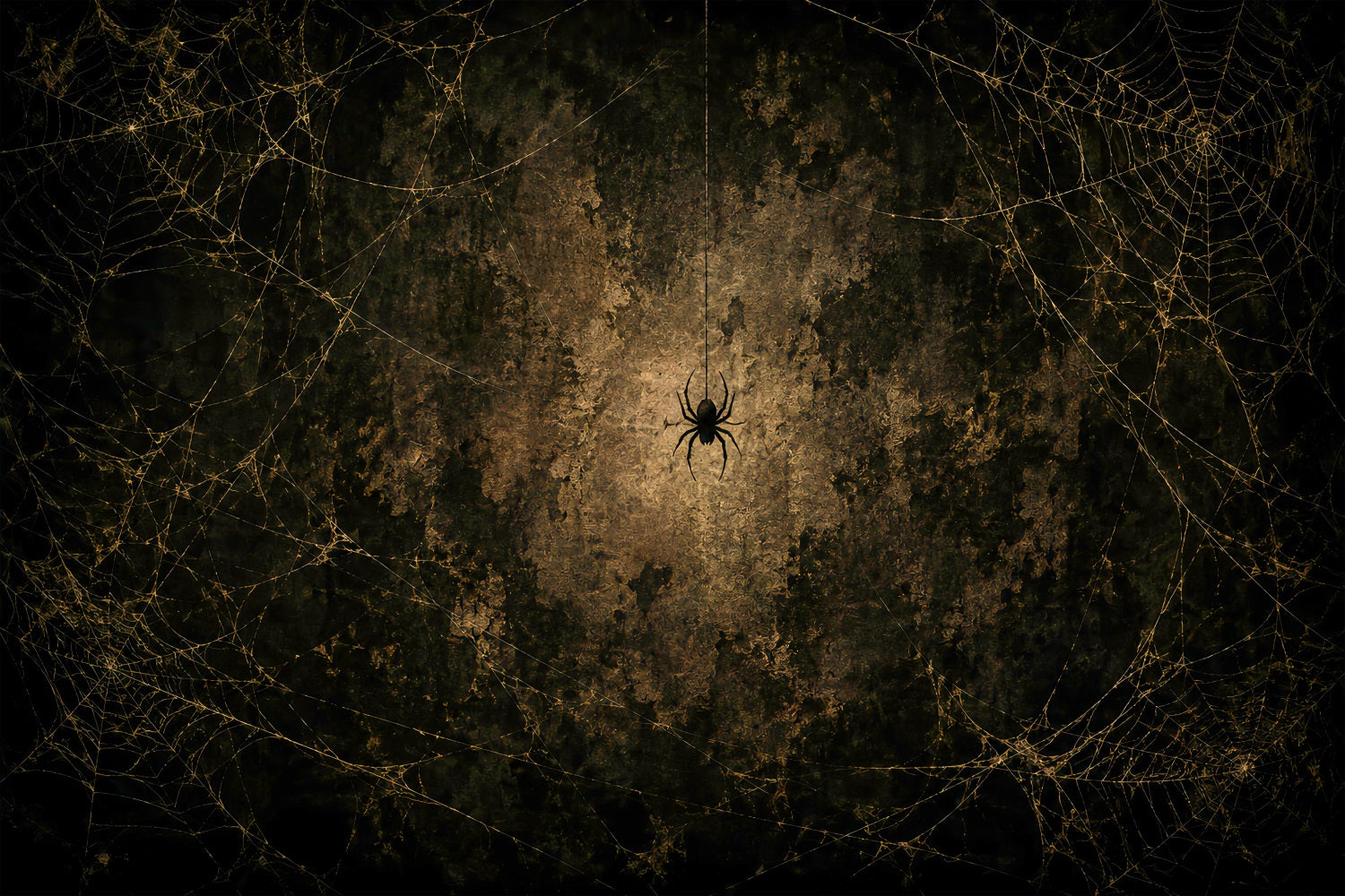 Halloween Backdrop Photo Golden Spiderweb Grunge Wall Halloween Party Backdrop LXX67-169