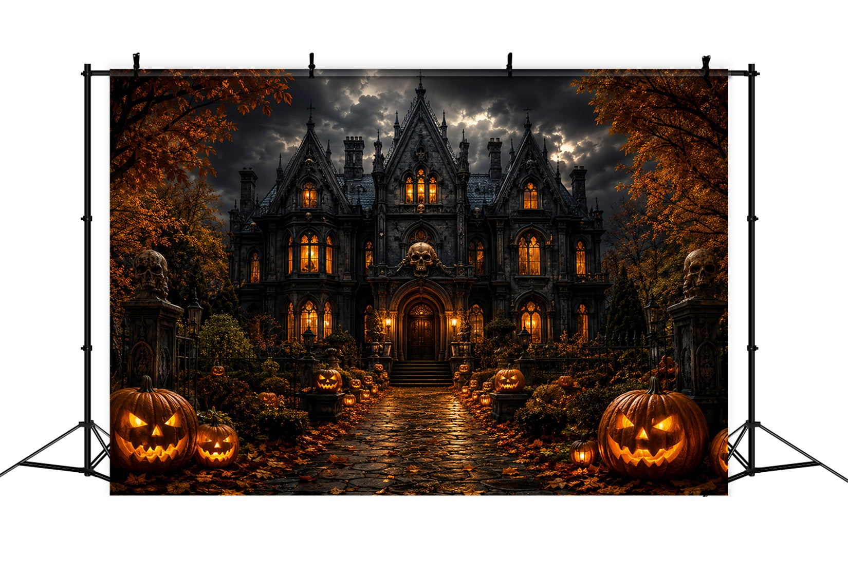 Haunted Mansion Photo Backdrop Stormy Skull Manor Entrance Scary Backdrops LXX67-238