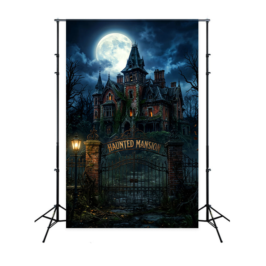 Skull Backdrop Moonlit Haunted Mansion Gate Disney Haunted Mansion Backdrop LXX67-242