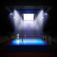 Lights Boxing Ring Backdrop for Photo Booth