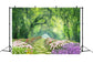 Spring Flowers Surrounding Trail Mystic Forest Backdrop M1-38