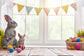 Easter Eggs Gray Bunny Colorful Flags Window Backdrop M1-45