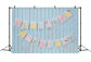 Easter Blue Boardwalk Wall Note Bunny Flags Backdrop M1-46