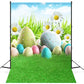 Easter Egg Daisies Blue Sky White Clouds Backdrop M1-52