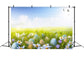 Easter Blue Sky White Clouds Swallow Eggs Green Grass Backdrop M1-57